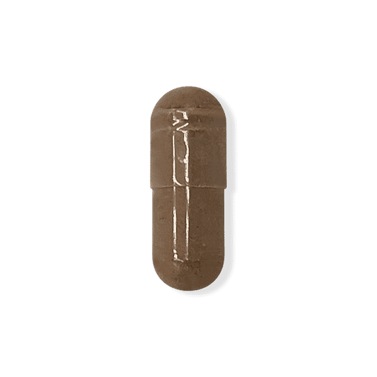 Rhodiola
